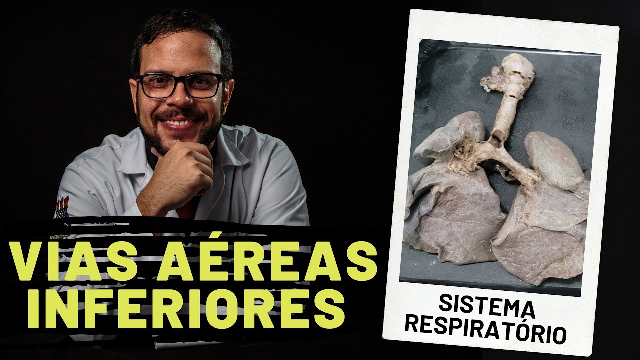 SISTEMA RESPIRATÓRIO: VIAS AÉREAS INFERIORES - AULA PRÁTICA COM PROF. ANDRÉ OLIVEIRA