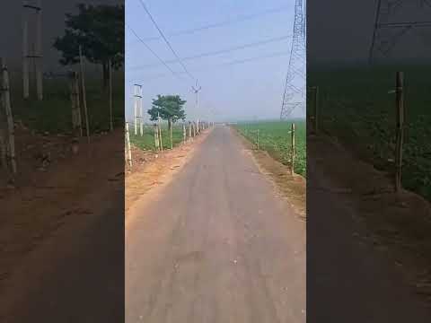 #happynewyear #trending #khushbu Chauhan official 6519