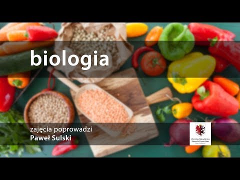 Biologia. Jak zdrowo gotować?