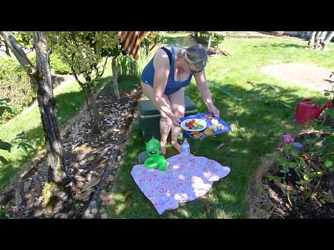 What do you like to do in the summer