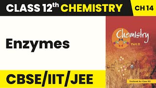 Class 12 Chemistry Chapter 14 | Enzymes - Biomolecules (2022-23)