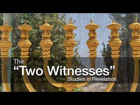 #19 Two Witnesses