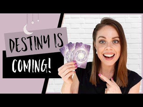 FULL MOON IN AQUARIUS + WEEKLY TAROT READING FOR ALL 12 SIGNS (AUGUST 12 - 18, 2019)