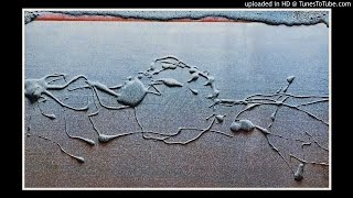 Flüght ► Transparencias [HQ Audio] 1982