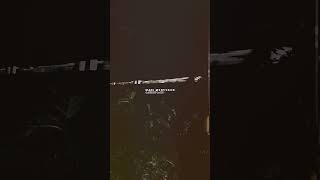 Download lagu Candu bunga Seroja 🌸 #bunga #seroja #laguviral #fyp mp3