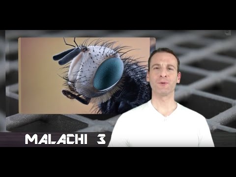 Malachi Chapter 3 Summary and What God Wants From Us