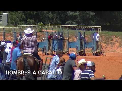 La Golondrina vs  El Zafiro  5 7 17