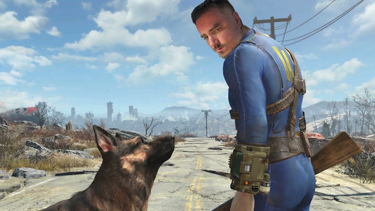 Мэддисон про бродячих собак