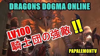 【DDON】来たぞ‼アップデート　LV100推奨 騎士団の仇敵【PAPALEMONTV】
