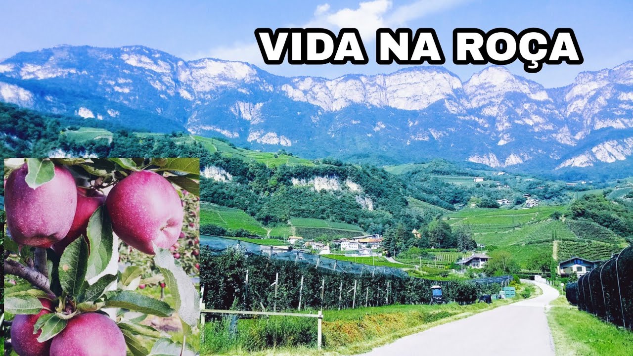 COMO SÃO AS FAZENDAS NA ITÁLIA? PLANTAÇÃO AGRÍCOLA.