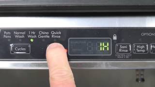 Dishwasher  Delay Cycle
