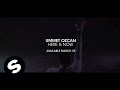 Ummet Ozcan - Here & Now (Preview) [Available ...