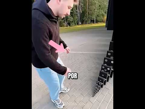 O Pai Destruiu Todos os Dominós 😱🧱