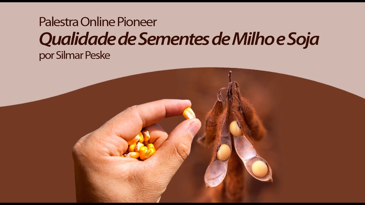Qualidade de Sementes de Milho e Soja - Palestra Online Pioneer