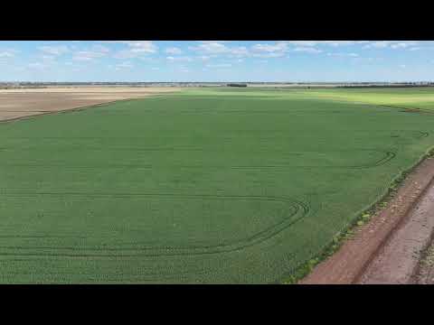 Farm 2528 Cashmere Road, Widgelli, NSW 2680, 3 ਕਮਰੇ, 1 ਬਾਥਰੂਮ, Lifestyle Property