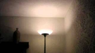 Fleeting Joys - A Beautiful End (audio only)