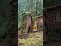 Draping the new cabin in moss propagated and sustainably harvested from Cabinland