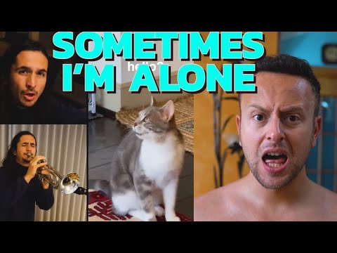 The Kiffness - Spaul SOMETIMES I'M ALONE Cat HD Rock remix