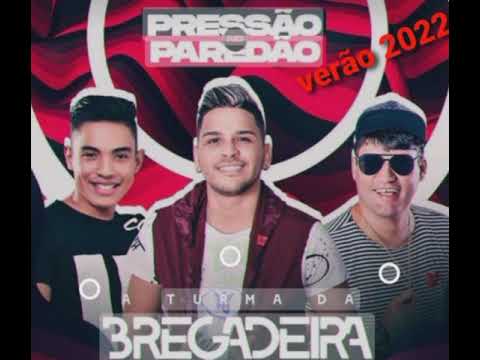 TURMA DA BREGADEIRA CD VERÃO 2022