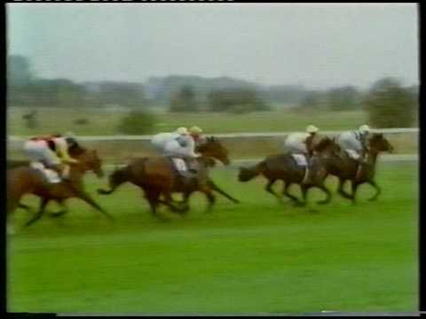1985 William Hill Futurity Stakes