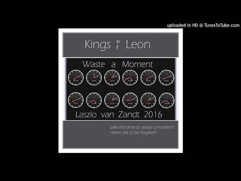 Kings of Leon - Waste a Moment (Laszlo van Zandt 2016)