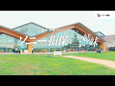 2025/10/31 【日向坂46 小坂菜緒さん&正源司陽子さん&藤嶌果歩さん出演】「ソニー損保な三姉妹　GOOD DRIVEアプリ」篇30秒（公式：ソニー損保の自動車保険CM） のサムネイル