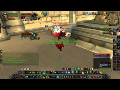 Mists of pandaria 5.1 Bm hunter enhance shaman twos #4