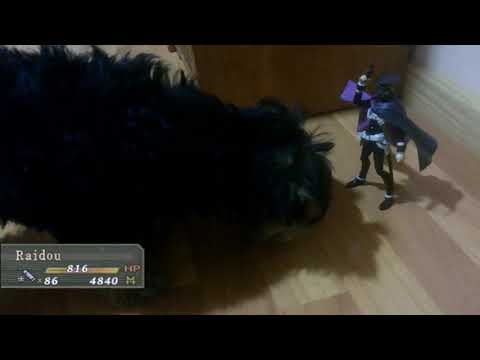 Devil Summoner - Kuzunoha Raidou vs The Soulless Army  - An Old Foe