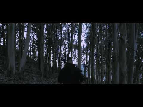 FaCto BSJ - Nesse mood