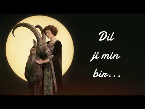 Zozan C. - Şox û Şengê #kurdish 