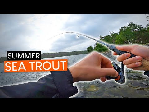 Summer spin fishing for SEA TROUT. Fish bites in WARM WATER!
