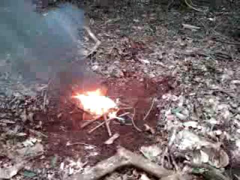 jackass helmets 8 (BOB'S FUNERAL)