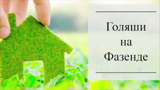 Голяши на Фазенде. #7 День 4-ый. Приглашённые звезды. Горим. Кальян. Приколы нашего городка