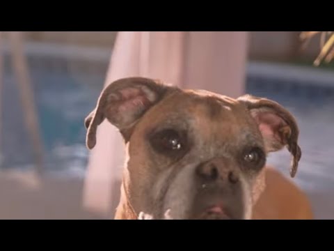 Mobino Knockz - Batman (Official Video)