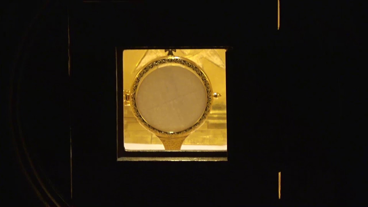 Live webcam view of Divine Mercy Chapel in Ave Maria