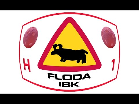Period 1 Vidvinkel Våran anfalls-sida - Floda IBK vs IBF Backadalen 2016-01-22