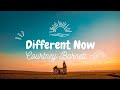 Courtney Barnett & Chastity Belt - Different Now (Official Lyrics)