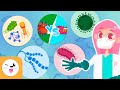 Microorganisms Compilation Video Bacteria Viruses And Fungi Explanation For Kids