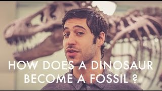 How Does a Dinosaur Become a Fossil?