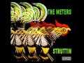 The Meters - Ride Your Pony