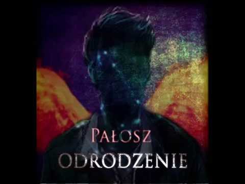 Pałosz "To my budujemy przyszłość"