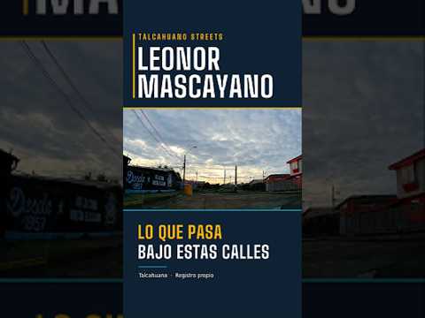 Talcahuano Streets | Leonor Mascayano, lo que pasa bajo la calle