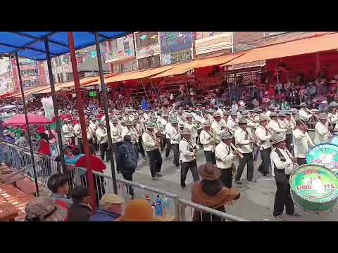 Anata Andino 2 026 , Choquecota marka Oruro Bolivia. 