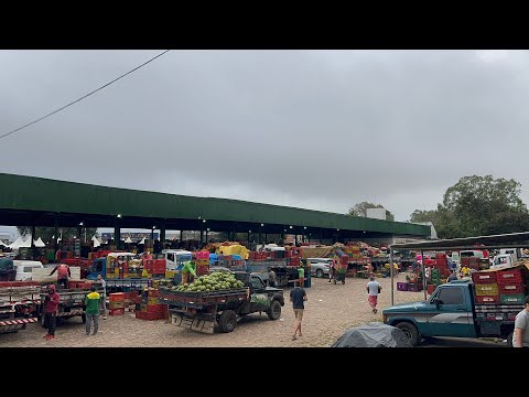 UMA GRANDE FEIRA NA CEASA DE TIANGUA CEARÁ 