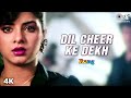 Dil Cheer Ke Dekh | Divya Bharti | Kamal Sadanah | Kumar Sanu | Rang Movie | 90's Romantic Song