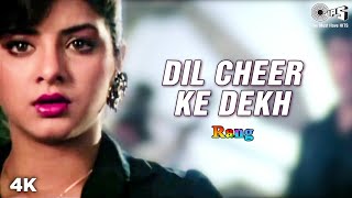 Dil Cheer Ke Dekh Lyrics - Rang