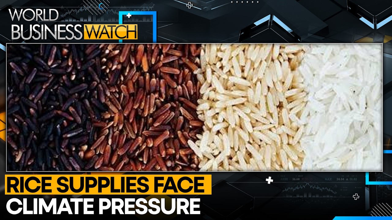 El Nino Threatens Asia's Rice Belt | World Business Watch