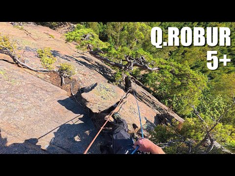 Long, varied cracked slab: Q.Robur (5+), Galgeberget | POV Trad Climbing