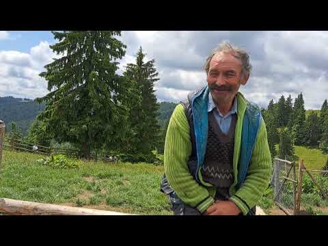 Irány a Gyimesi hegyek teteje, a Csíki havasok vadvirágokkal teli havasi legelői, kaszálói, kalibái.