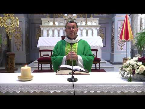 Misa Domingo | 19 de octubre 2025 | Basílica Paysandú